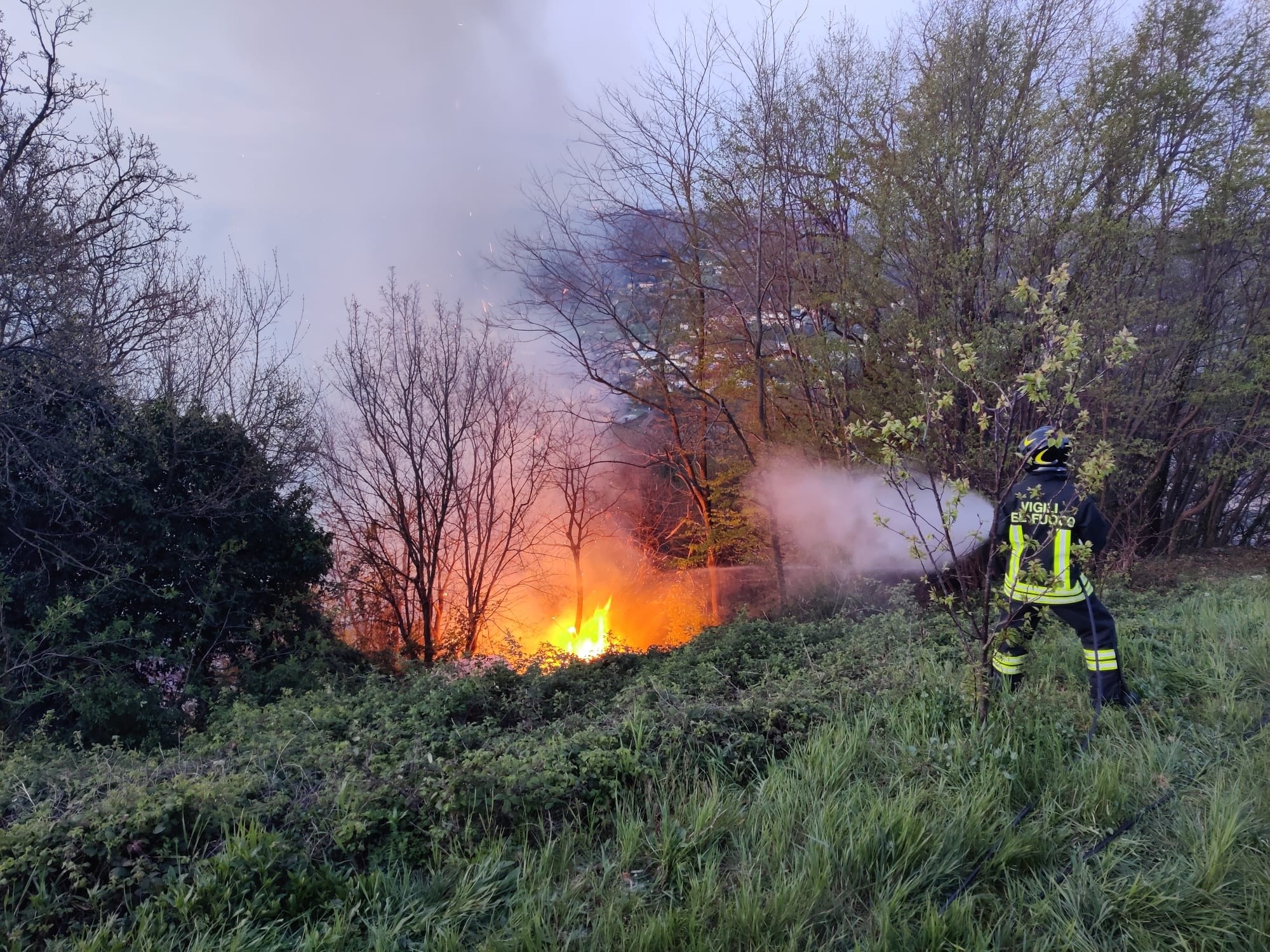 rogocolle5.jpg (919 KB)