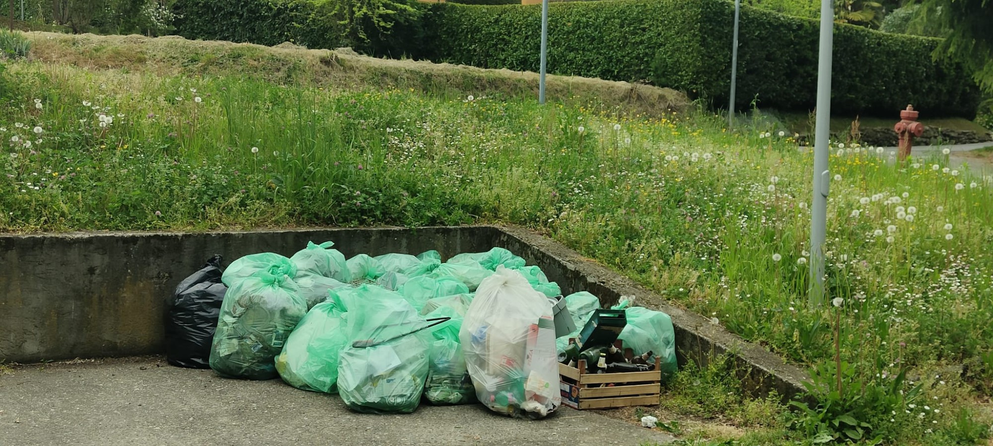 sirtorigiornataecologica__4_.jpeg (556 KB)