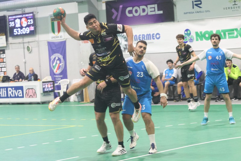 HCMoltenoPallamano.jpg (94 KB)