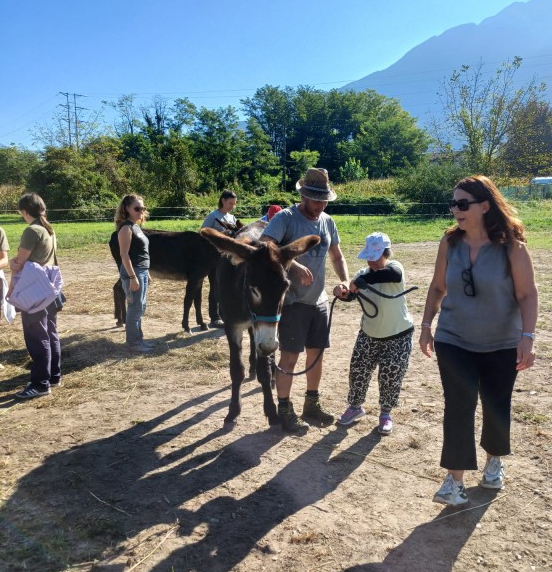 IAA__2_.jpg (267 KB)