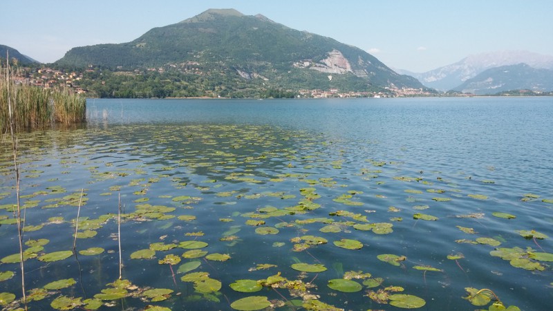 Lago di Pusiano: occorrono azioni per disinquinare le acque