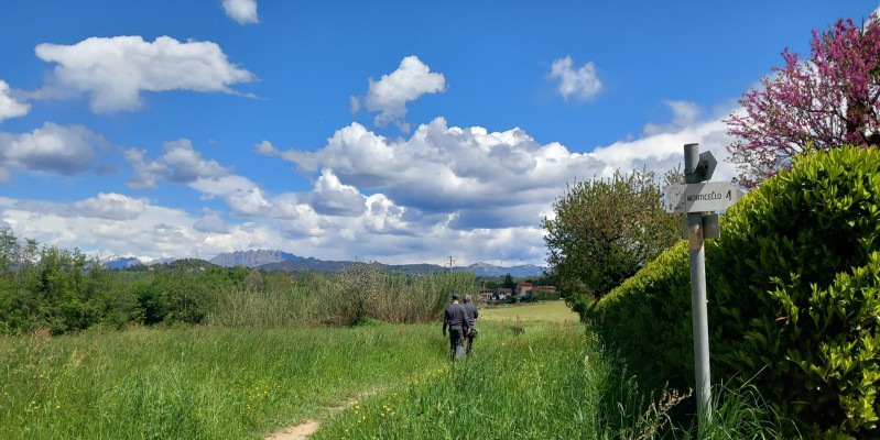 Un_sopralluogo_delle_Gev_per_l_organizzazione_di_un_itinerariopr.jpg (174 KB)