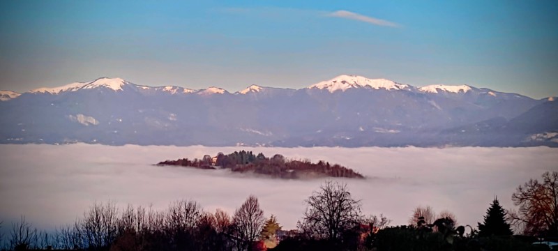 WhatsApp_Image_2026-02-02_at_07.54.11_2_.jpeg (47 KB)