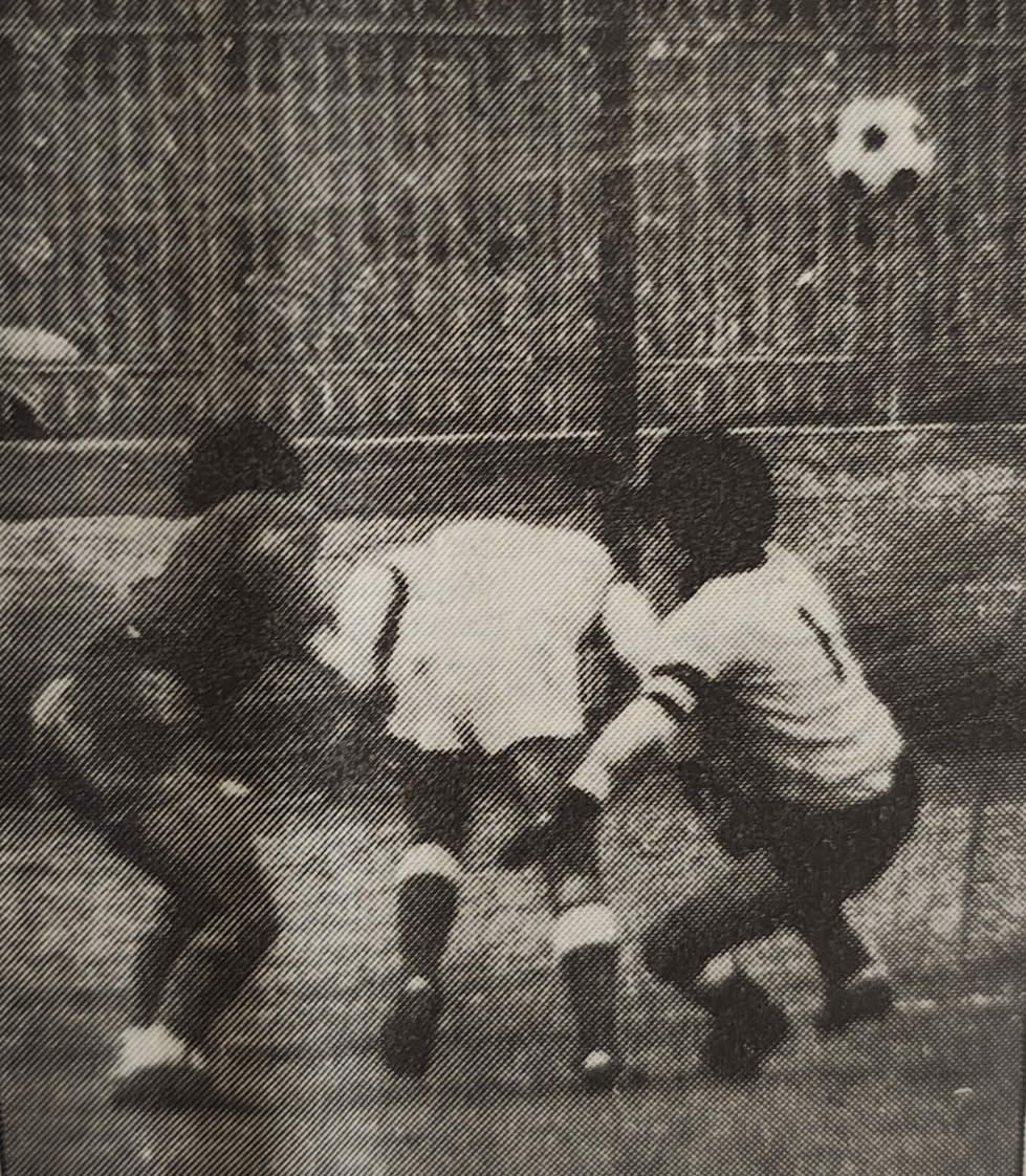 accadeva40_3.jpg (262 KB)