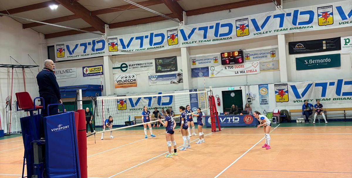 barzagovtb__2_.jpeg (460 KB)