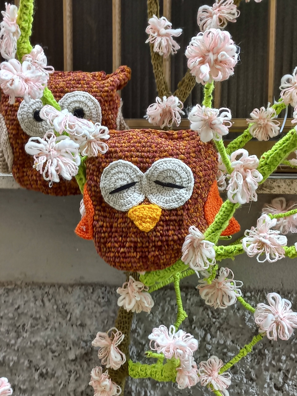 barzanoyb__3_.jpg (524 KB)