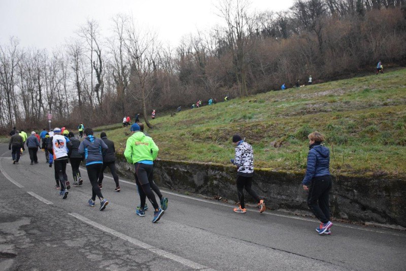 beveratrofeolongoni.jpg (135 KB)