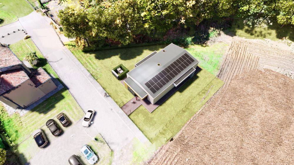 bulciagonido1.jpg (165 KB)