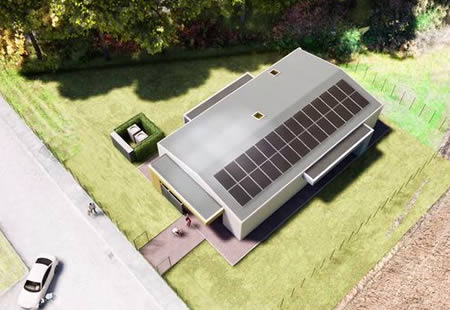 bulciagonidoprima.jpg (32 KB)