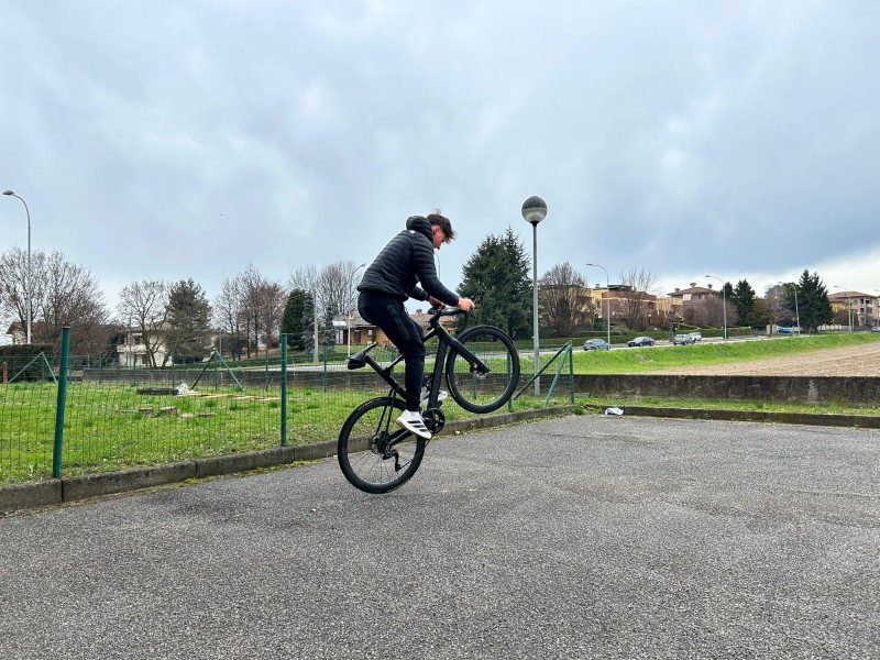 carnevalenido__1_.jpeg (150 KB)