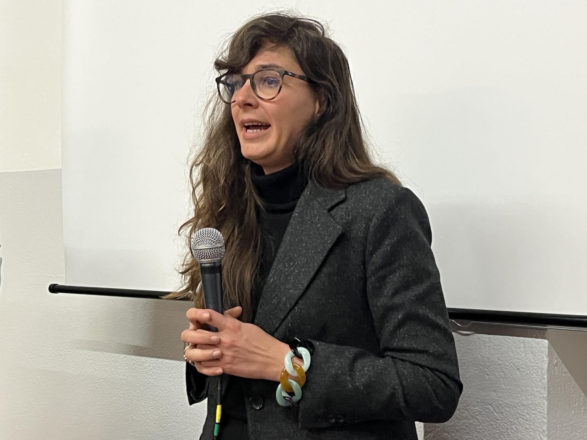 dolzagoreferendum__14_.jpg (373 KB)