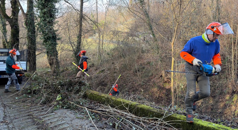 ello_pc2.jpg (172 KB)