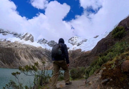 fogliepr.jpg (99 KB)