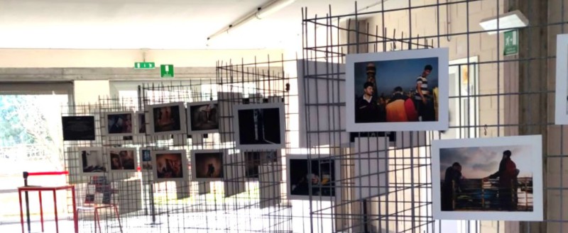 greppigaza_1.jpg (67 KB)