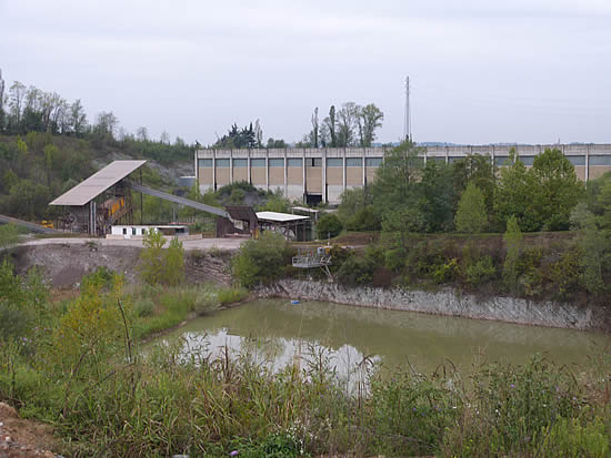 minieragambaione1.jpg (46 KB)