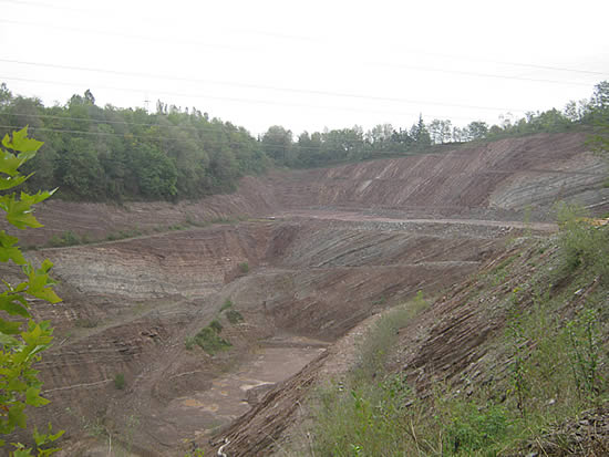 minieragambione1.jpg (43 KB)