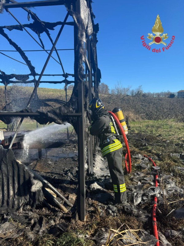 montesirorogo__2_.jpeg (163 KB)