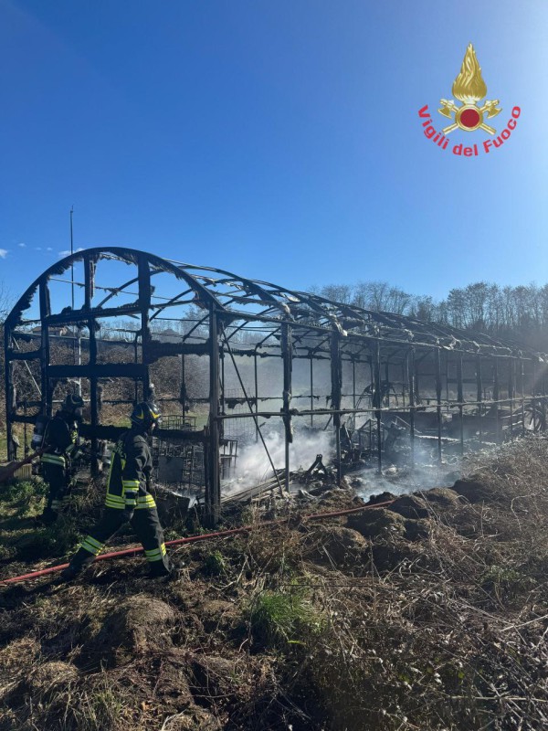 montesirorogo__4_.jpeg (138 KB)