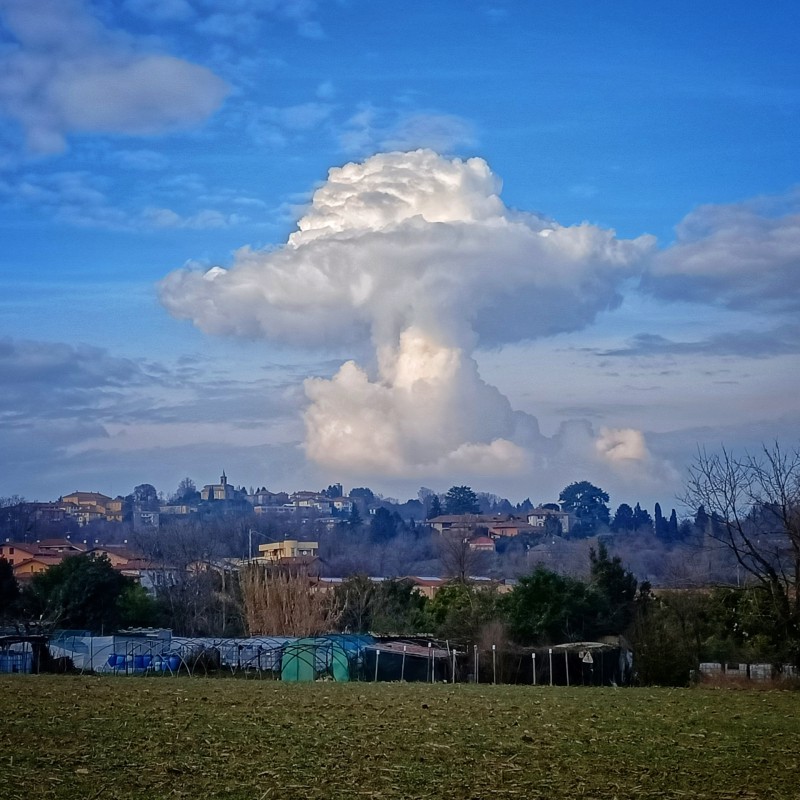 monticellocartolina.jpg (138 KB)