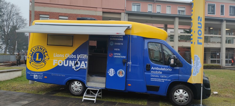 nf_lions__3_.jpg (89 KB)