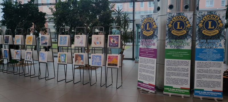 nf_lions__4_.jpg (104 KB)