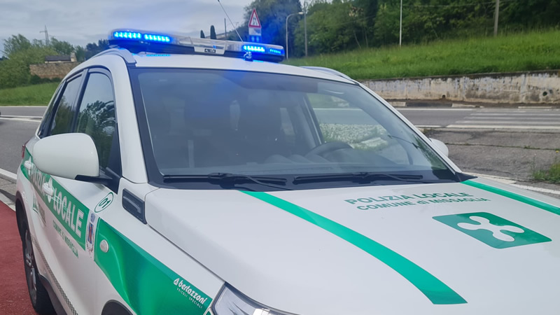 plmissaglia_3.jpg (98 KB)