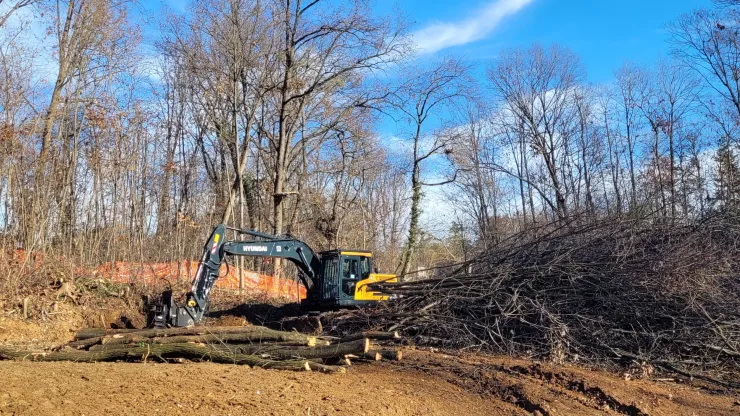 scatti5.webp (114 KB)