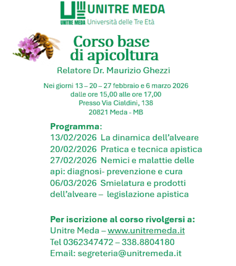 CORSO_MEDA_26.png (376 KB)