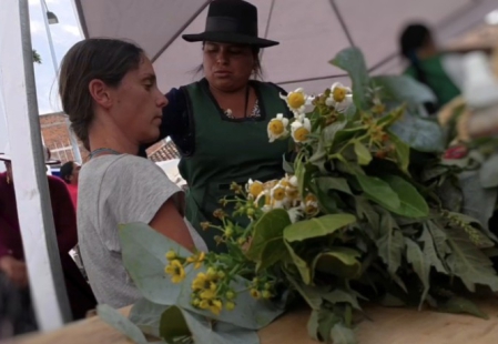 CURATRICEPR.jpg (84 KB)