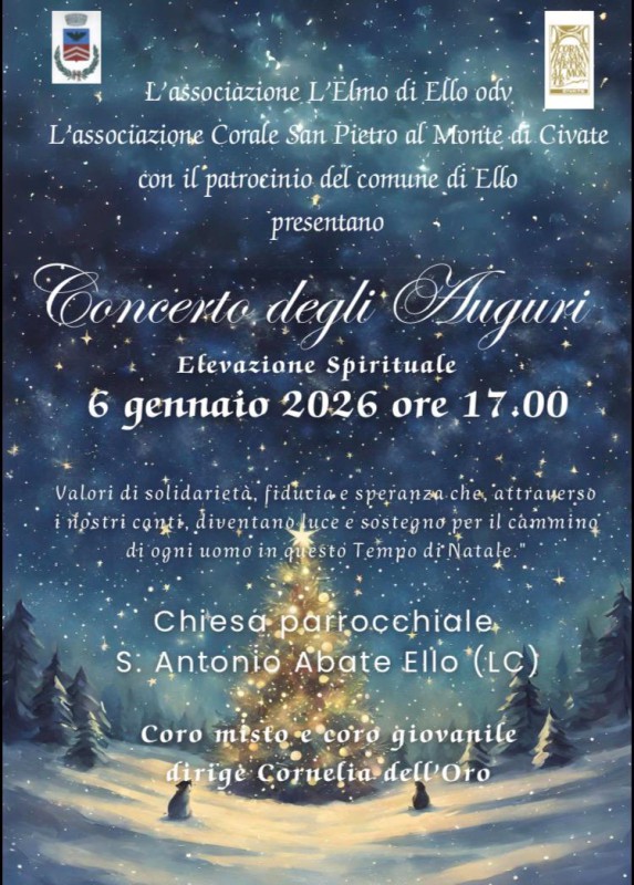 Ello_concerto_degli_auguri.jpg (137 KB)