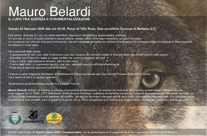 Molteno_lupi.jpg (205 KB)
