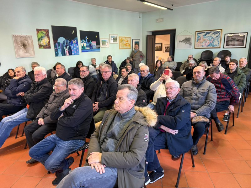 Vigan___civiche_benemerenze__4_.jpeg (134 KB)