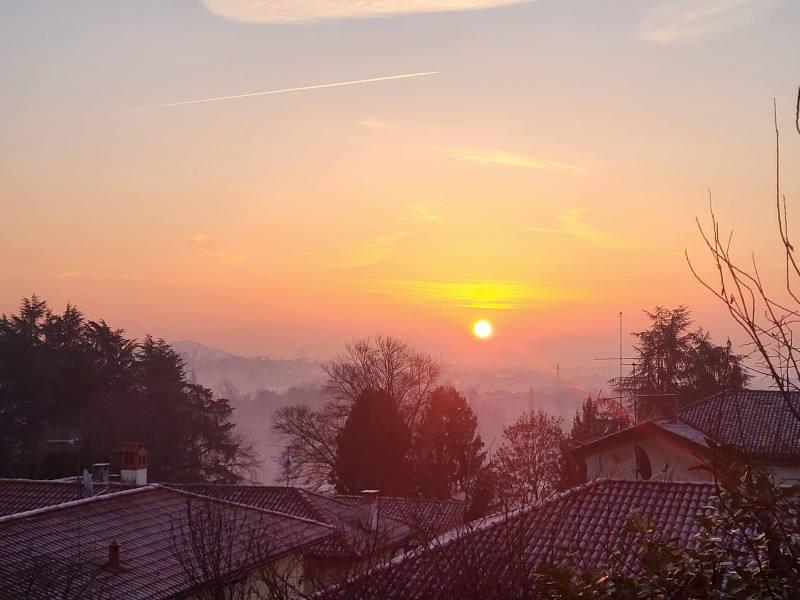 WhatsApp_Image_2026-01-22_at_11.50.30__1_.jpeg (86 KB)