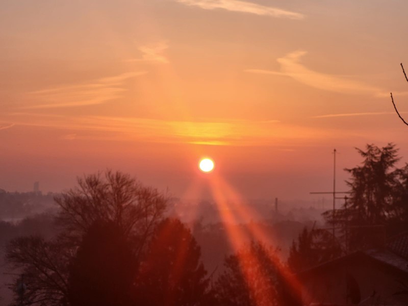 WhatsApp_Image_2026-01-22_at_11.50.31.jpeg (44 KB)