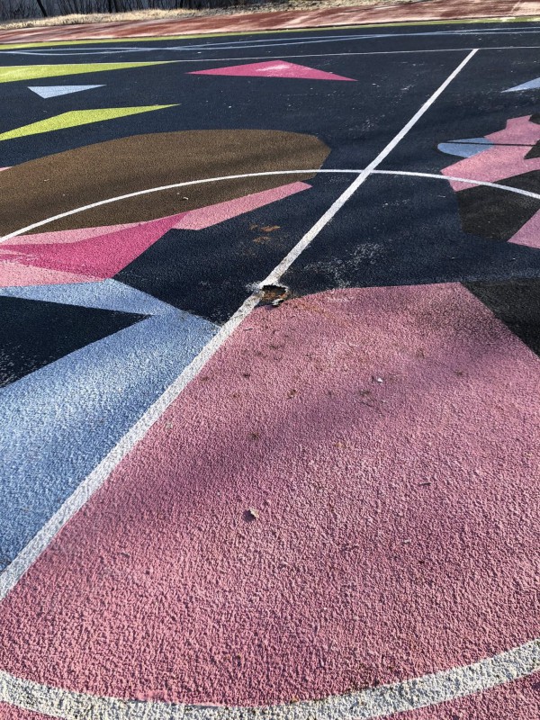 barzanocampo2.jpg (221 KB)