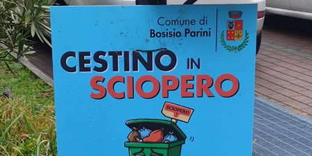 bosisiocestinipr.jpg (27 KB)