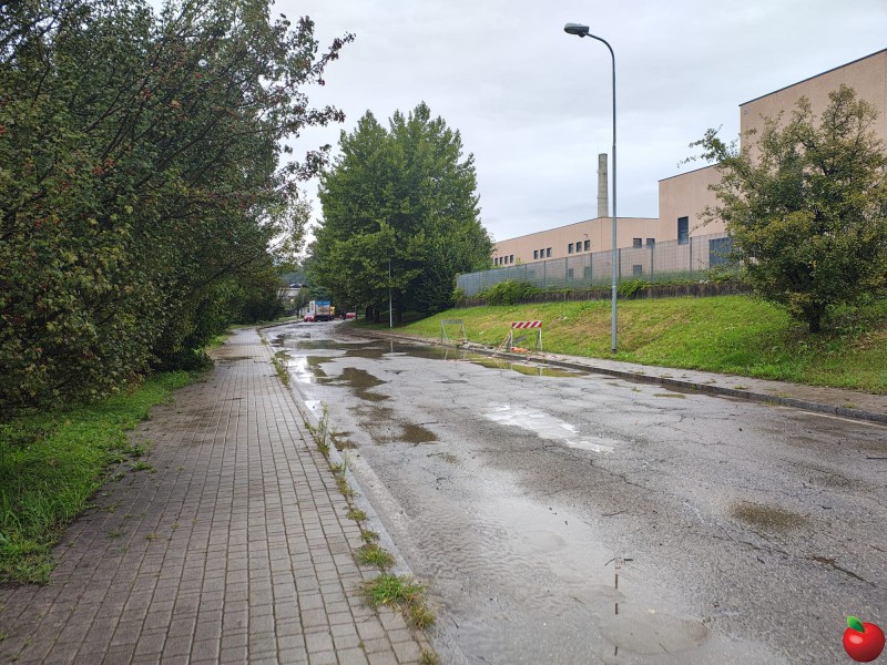 bulciagodanni_3.JPG (170 KB)