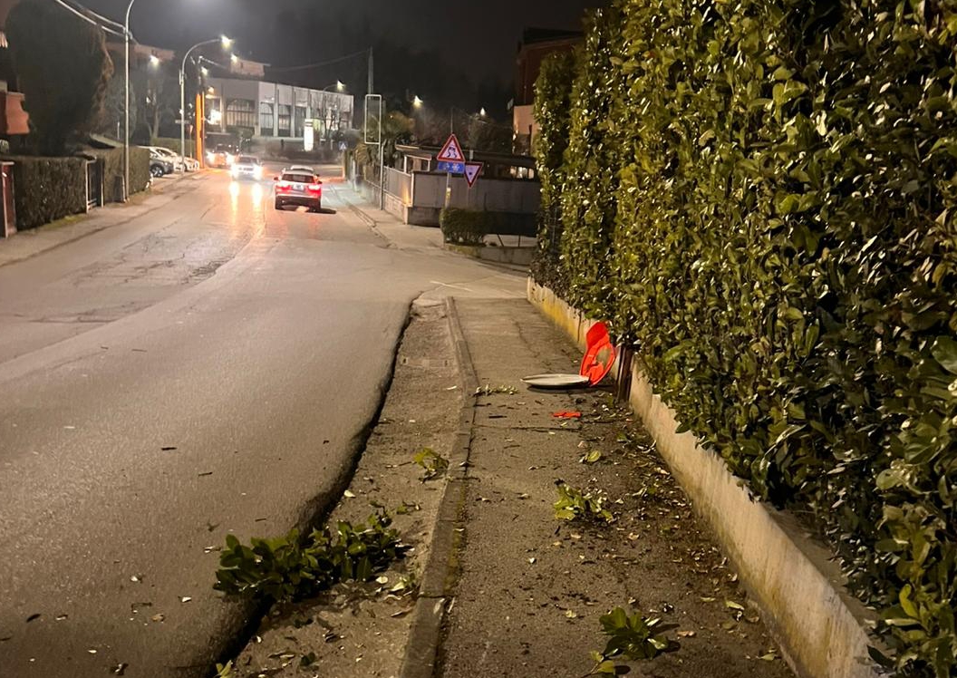 cesana_automoto__4_.jpeg (557 KB)