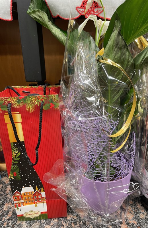 cremellalotteria1.jpg (150 KB)