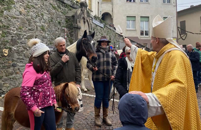 ello_santantonio__3_.jpg (55 KB)