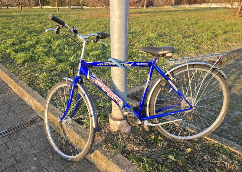 galgianabici.jpg (214 KB)