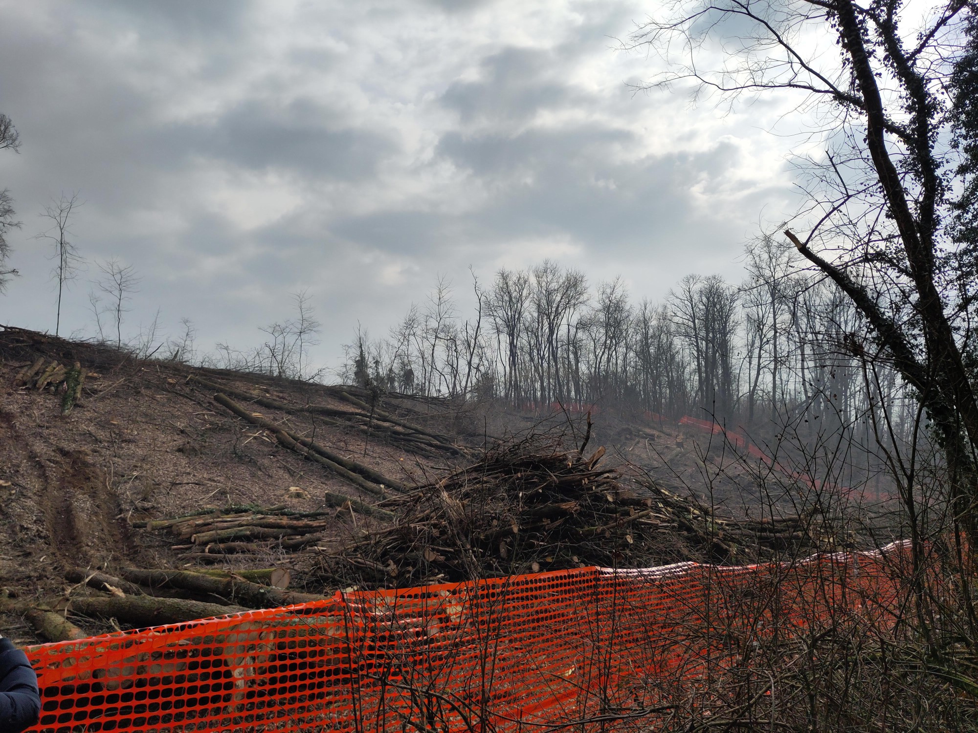 greppidays5_7.jpg (919 KB)