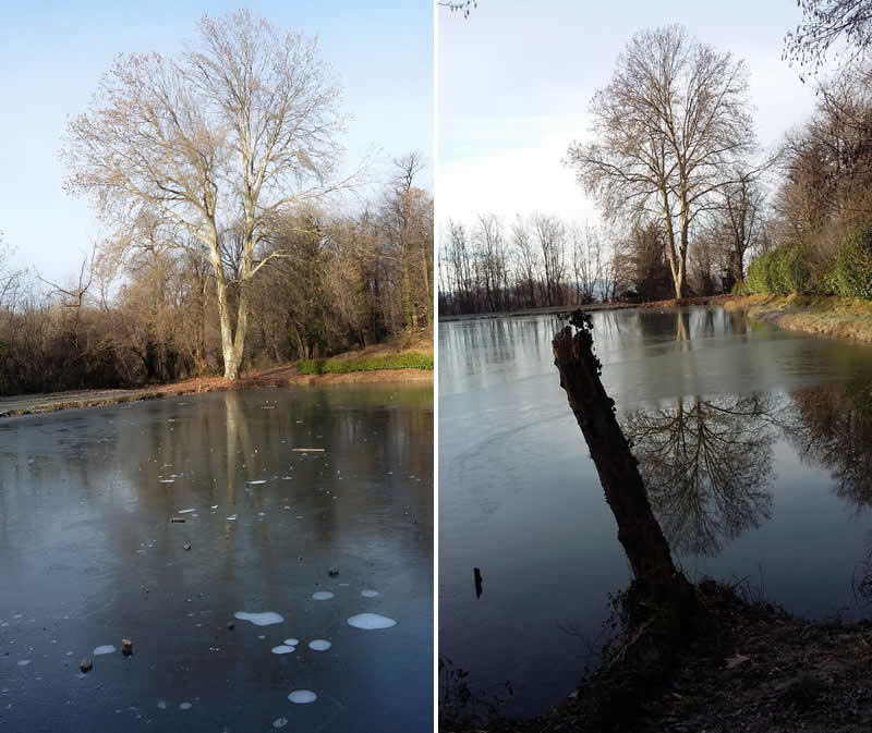 laghettodolzago.jpg (73 KB)