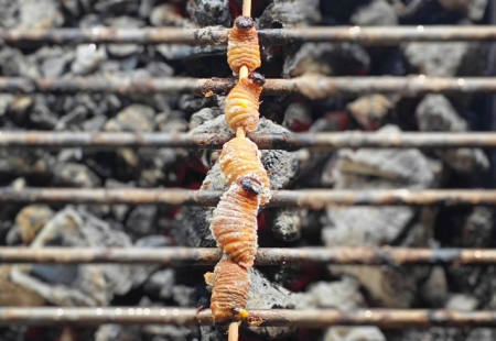 larveprima.jpg (98 KB)