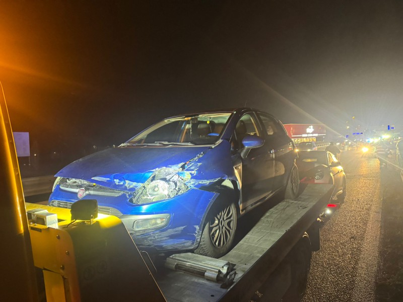 moltenoincidente__3_.jpeg (89 KB)