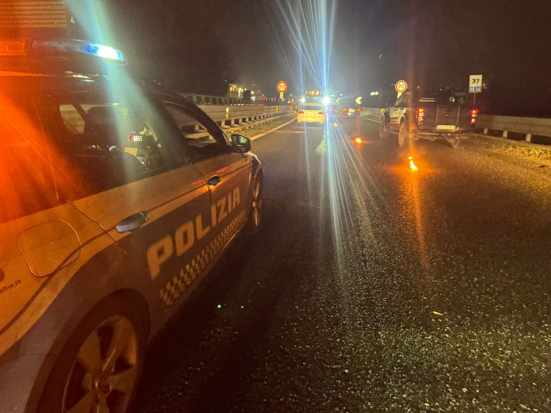 moltenoincidente__5_.jpeg (117 KB)