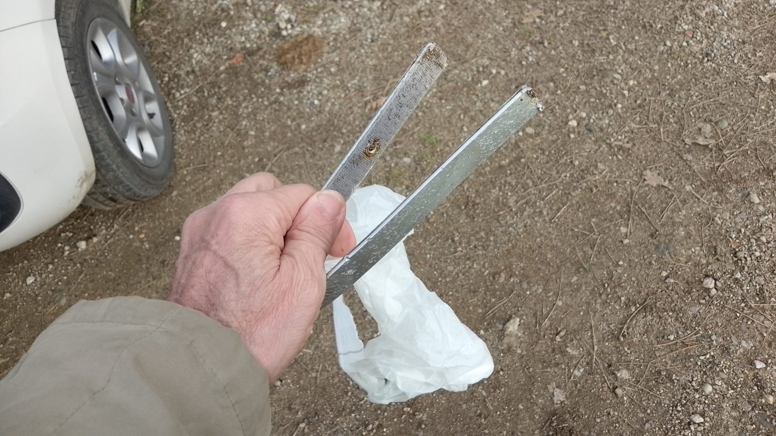 plogging__2_.jpeg (210 KB)