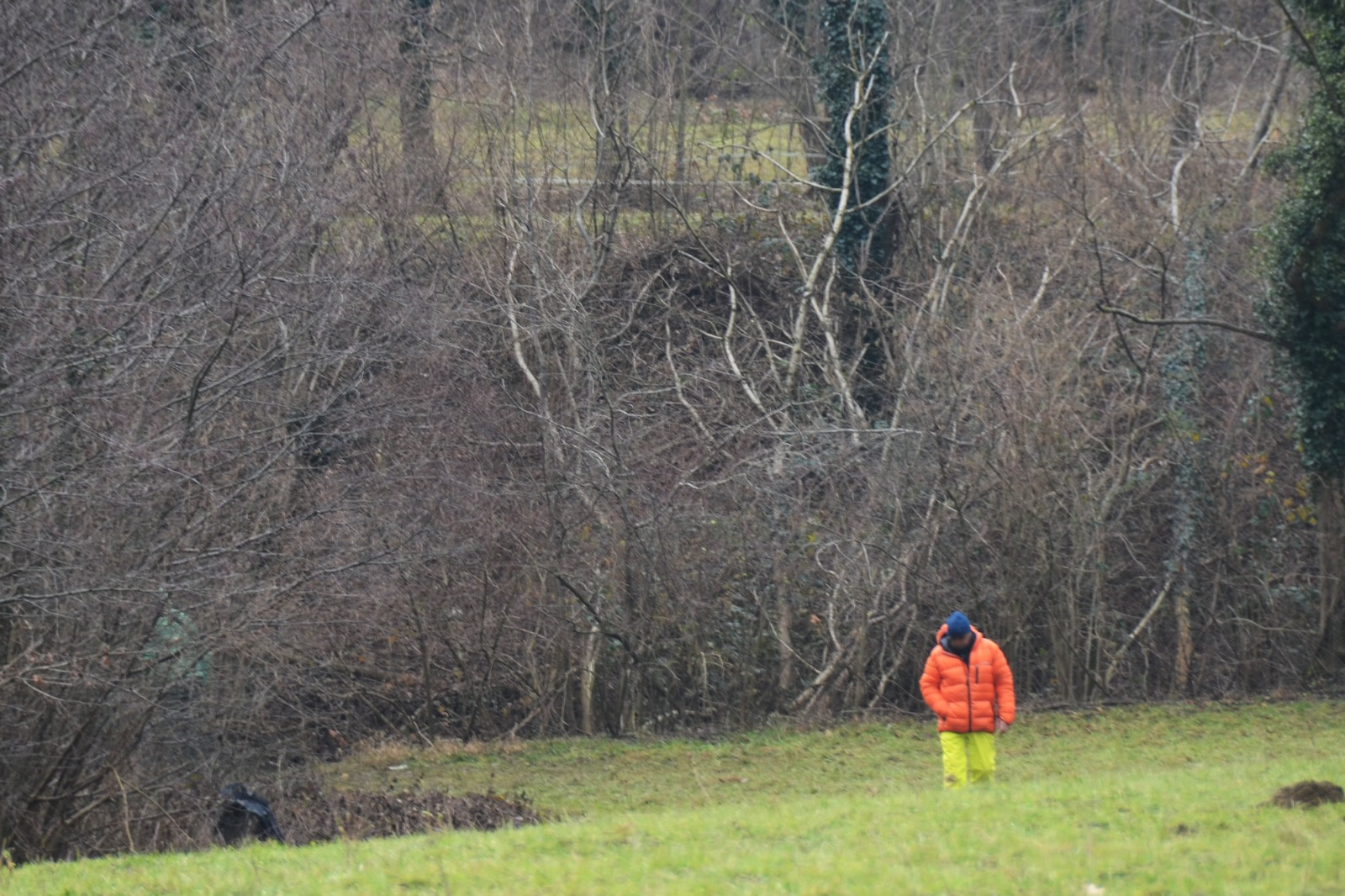 suelloparapendio__1_.jpeg (468 KB)