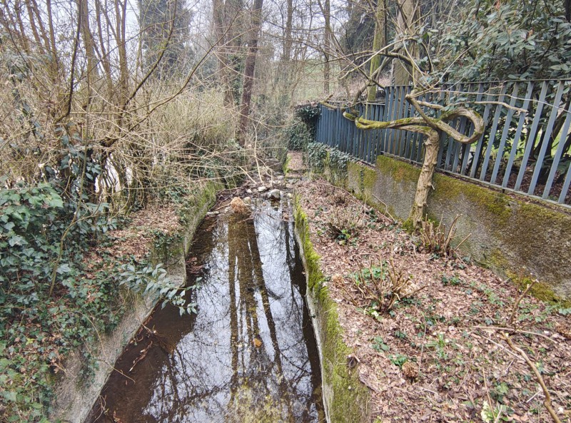 gambaione10.jpg (235 KB)