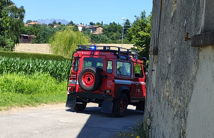 giovenigo.jpg (151 KB)